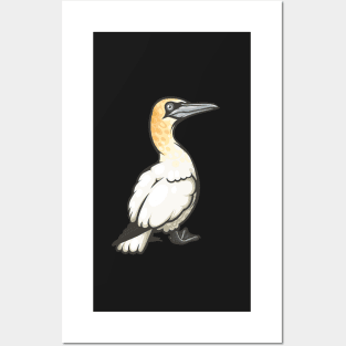 Northern Gannet Posters and Art